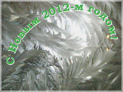 С Новым 2012 годом!